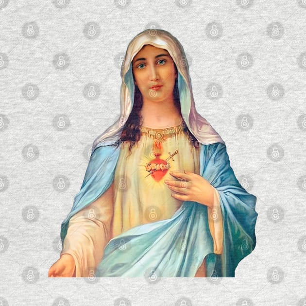 Immaculate Heart of Mary - III by Brasilia Catholic